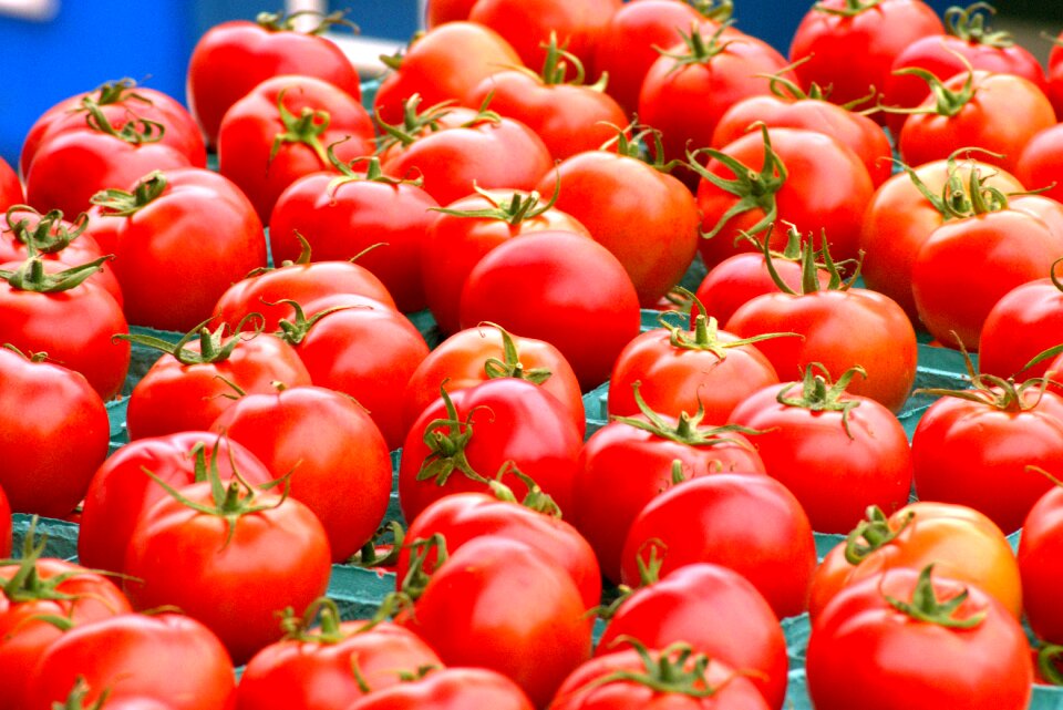 Vegetables food harvest
