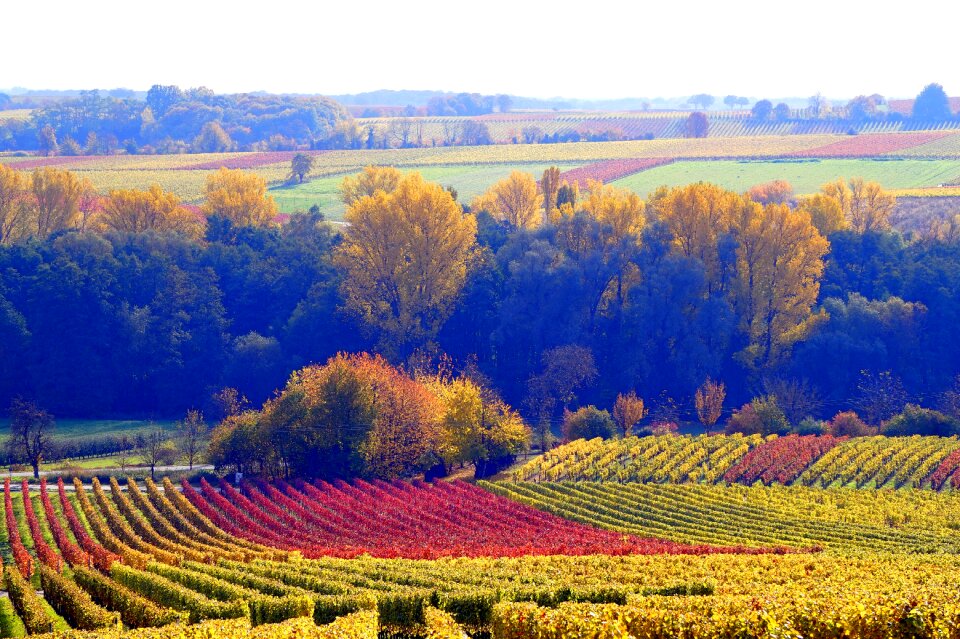 Agriculture nature season