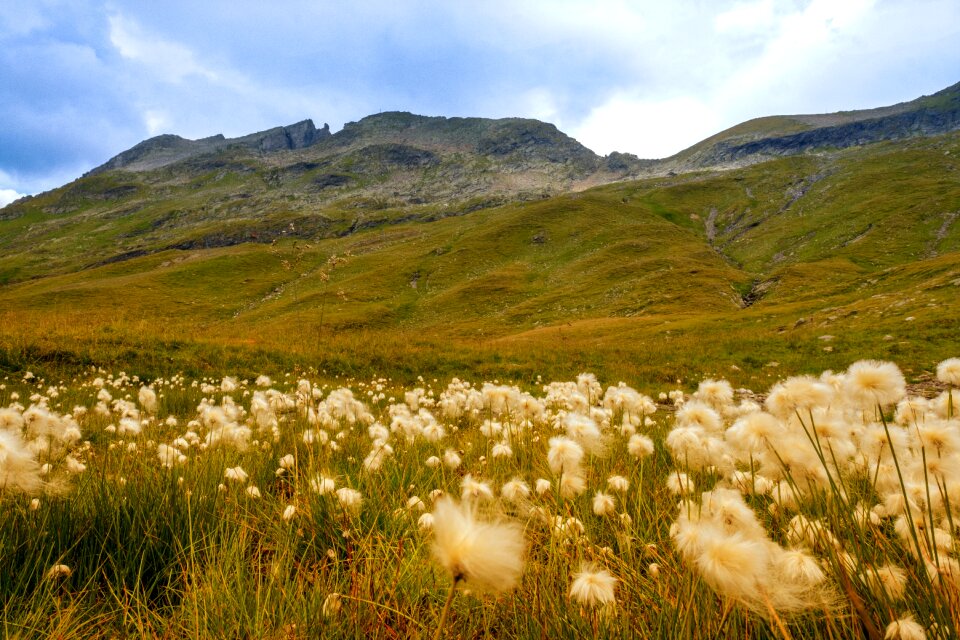 Landscape mountains alpine