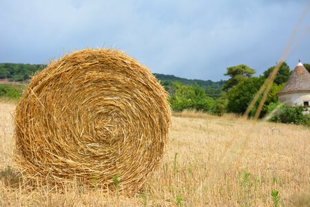 Hay pasture countryside