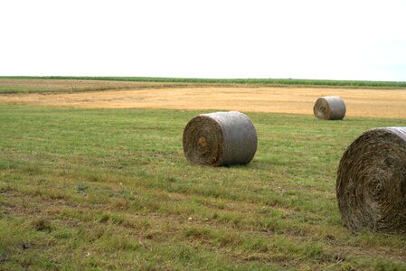 Agriculture field stubble