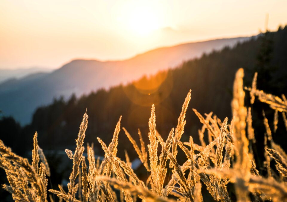 Hills nature twilight