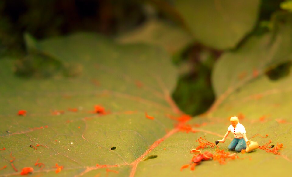 Gardening person woman