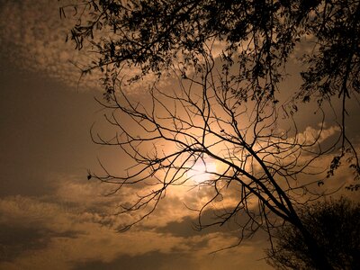 Red sky nature