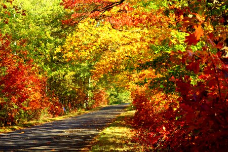 October in the fall color