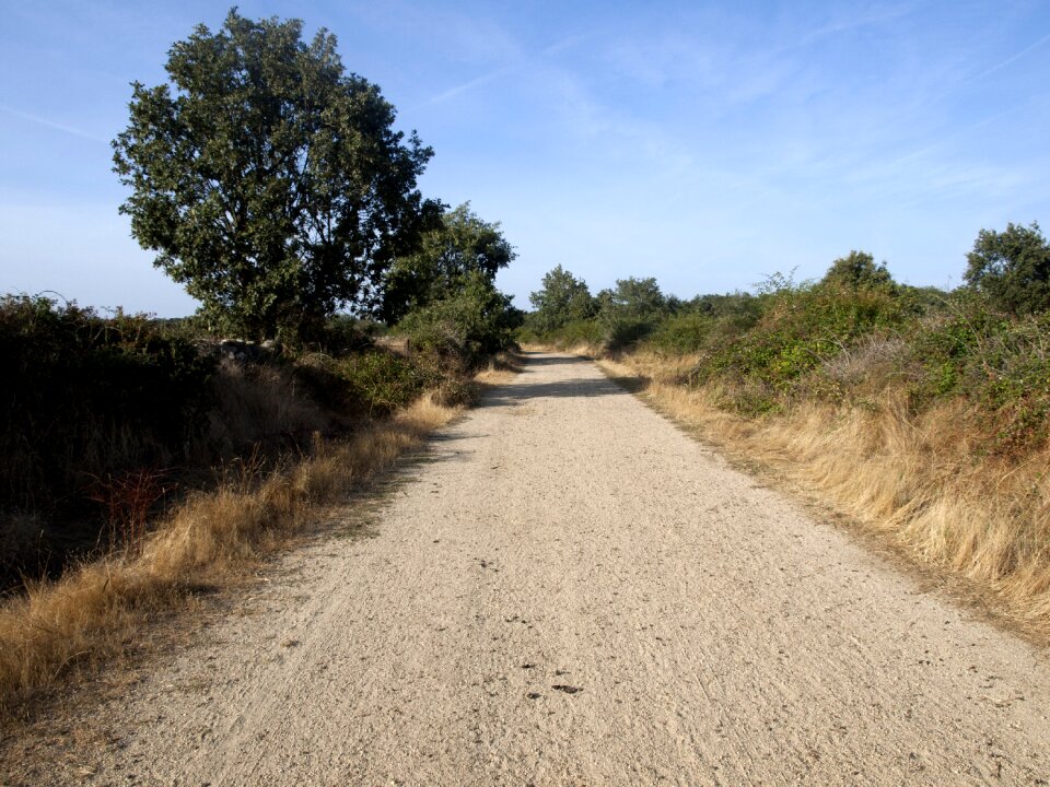 Rural landscape nature landscape