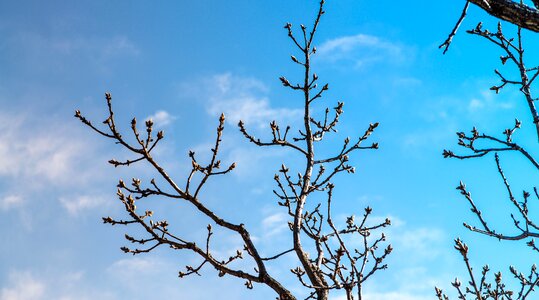 Heaven nature blue sky photo