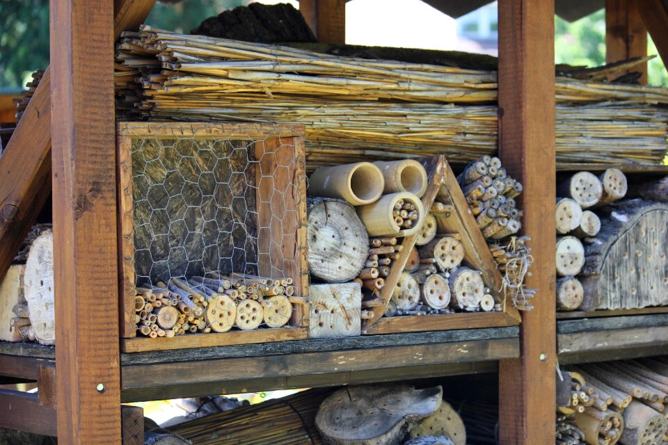 Bee hotel wild bee hotel nesting help