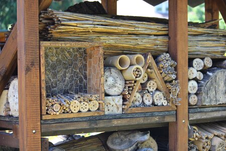 Bee hotel wild bee hotel nesting help photo