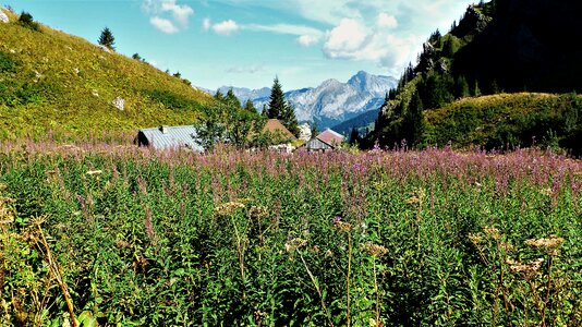 Farm breeding mountains photo