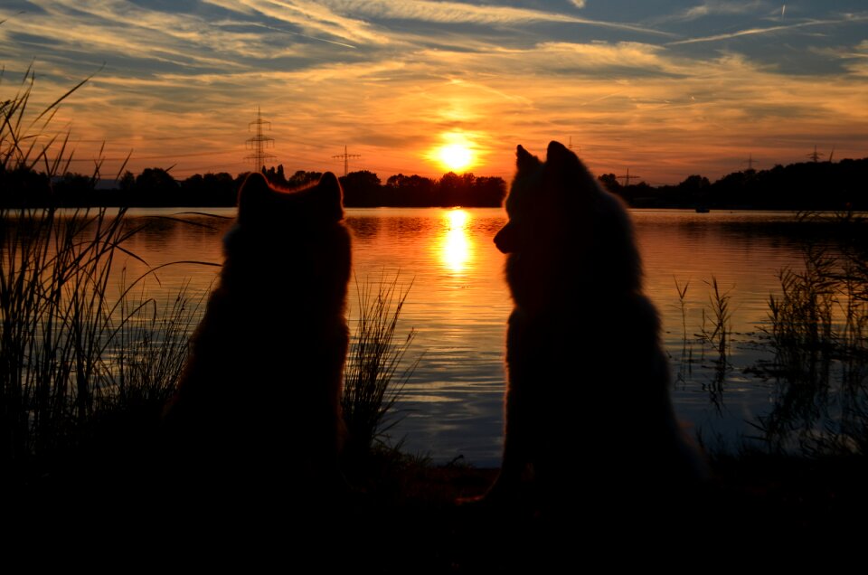 Landscape evening romantic