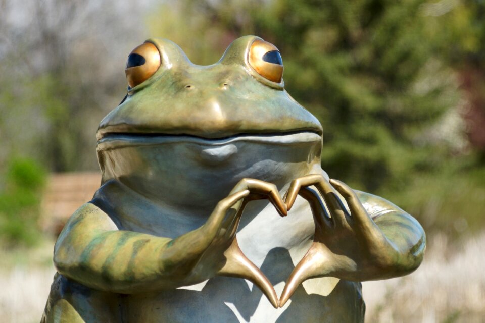 Silly love nature