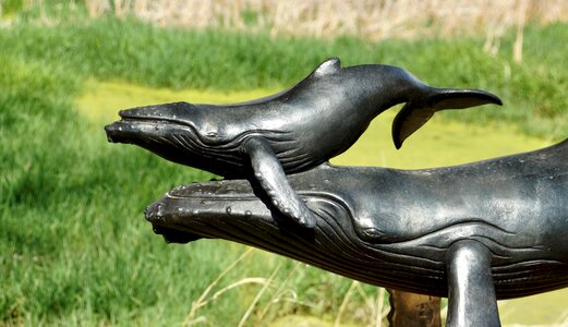 Sculpture humpback grass