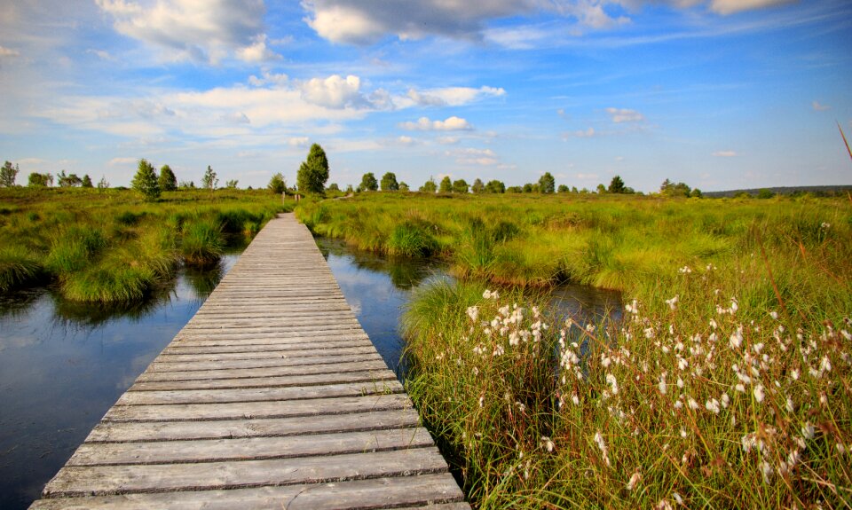 Landscape moor nature reserve