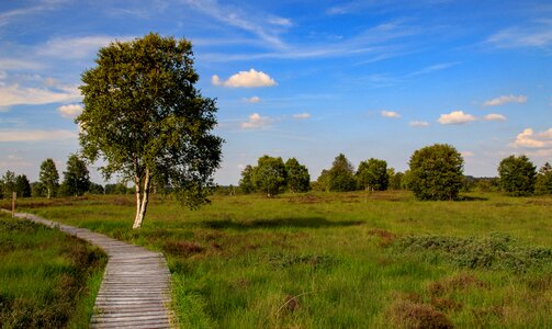 Landscape moor nature reserve