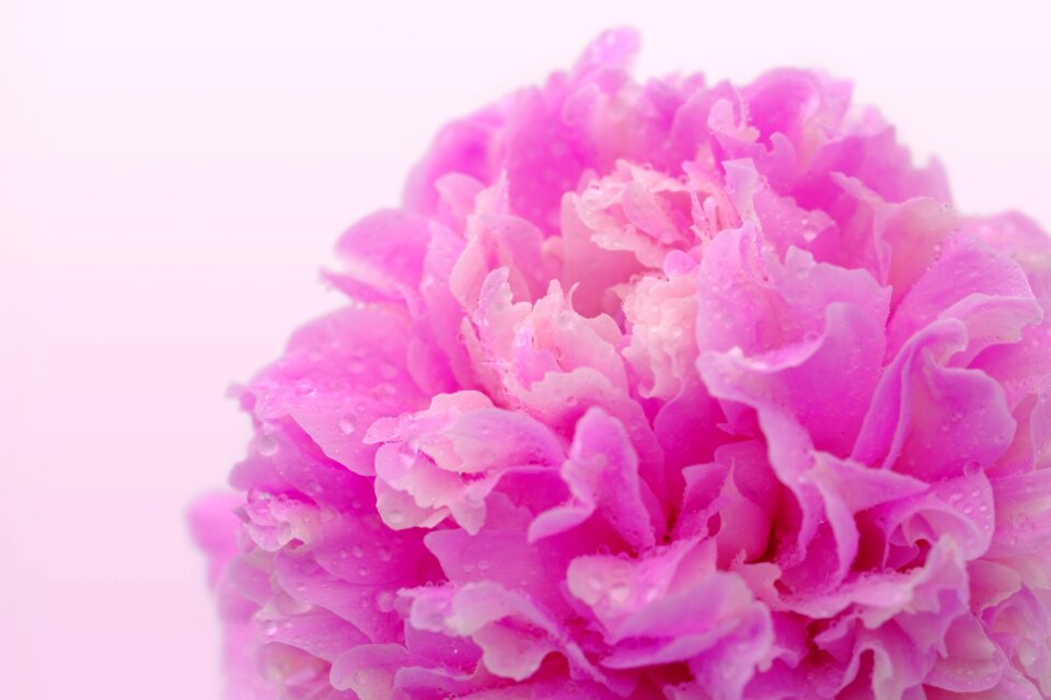 Beauty massage physiotherapy