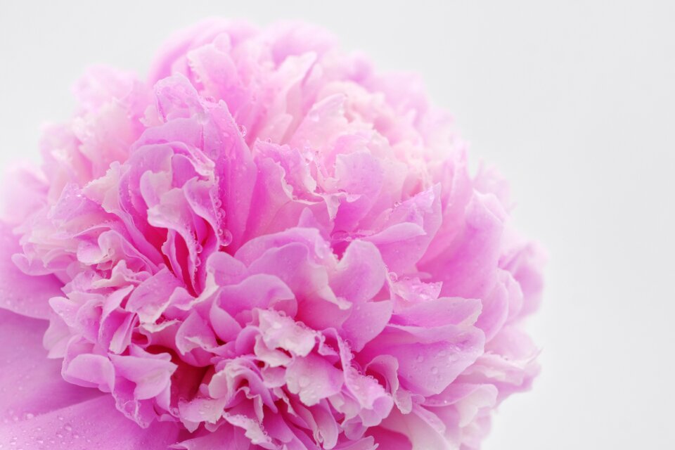 Beauty massage physiotherapy