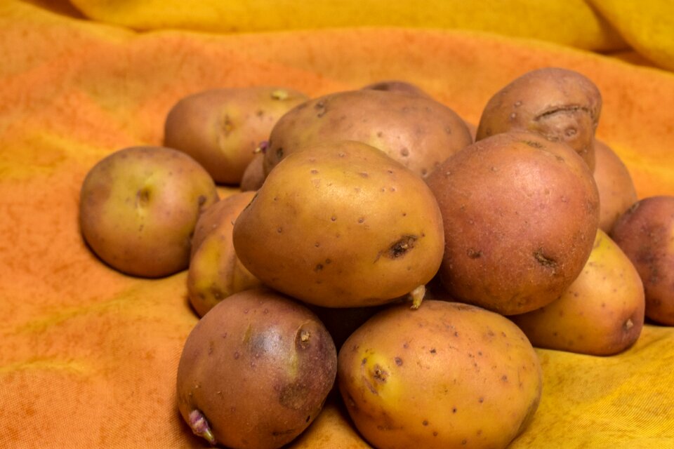Food nutrition vegetables
