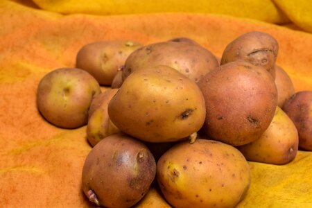 Food nutrition vegetables
