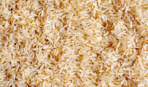 Eat nutrition grain of rice photo