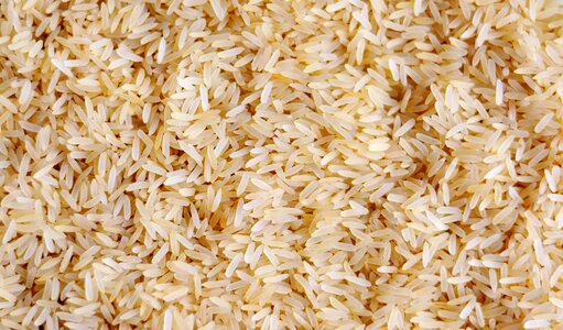 Eat nutrition grain of rice