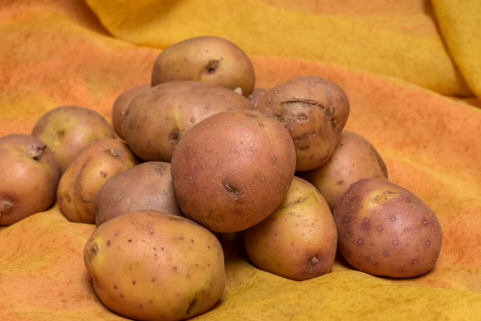 Food nutrition vegetables