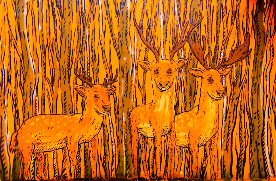 Forest tree fallow