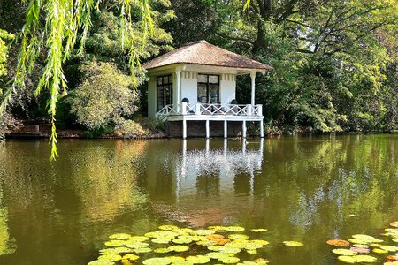 Waterfront serenity zen