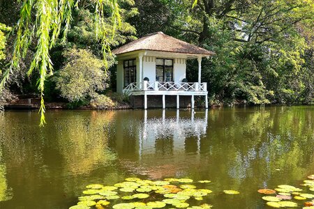 Waterfront serenity zen photo