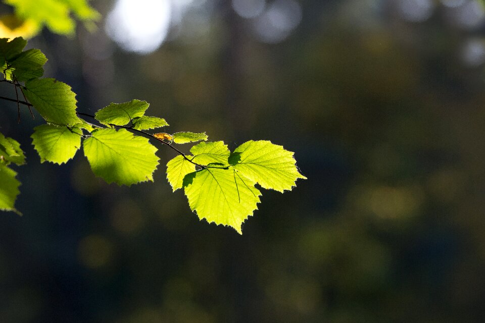 The picturesque mood in the fall of
