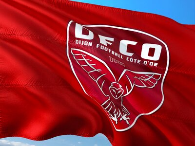 Ligue 1 flag fco dijon photo