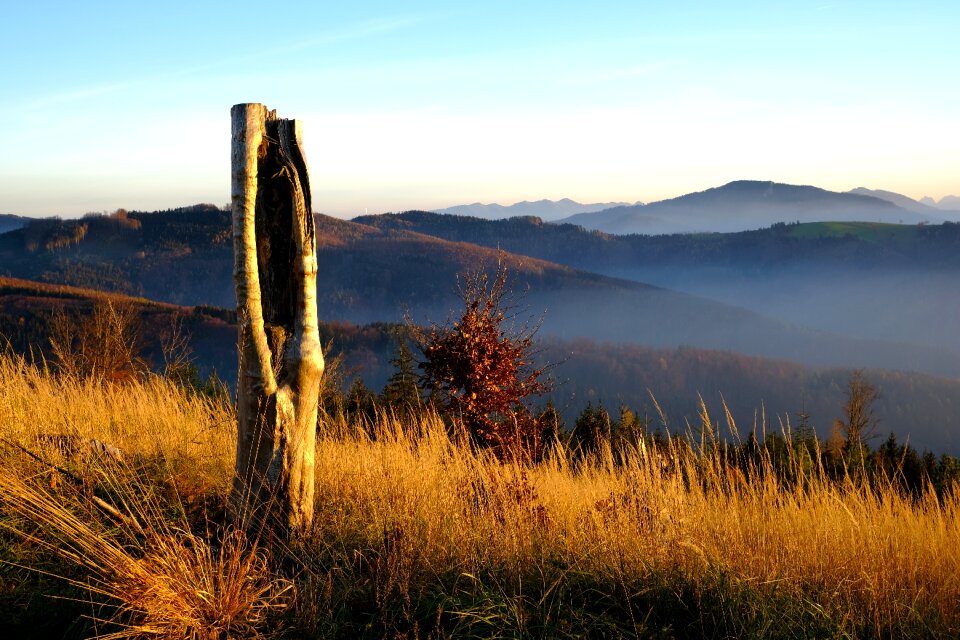 Autumn mood mountains fog