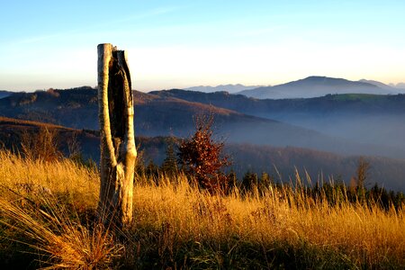 Autumn mood mountains fog