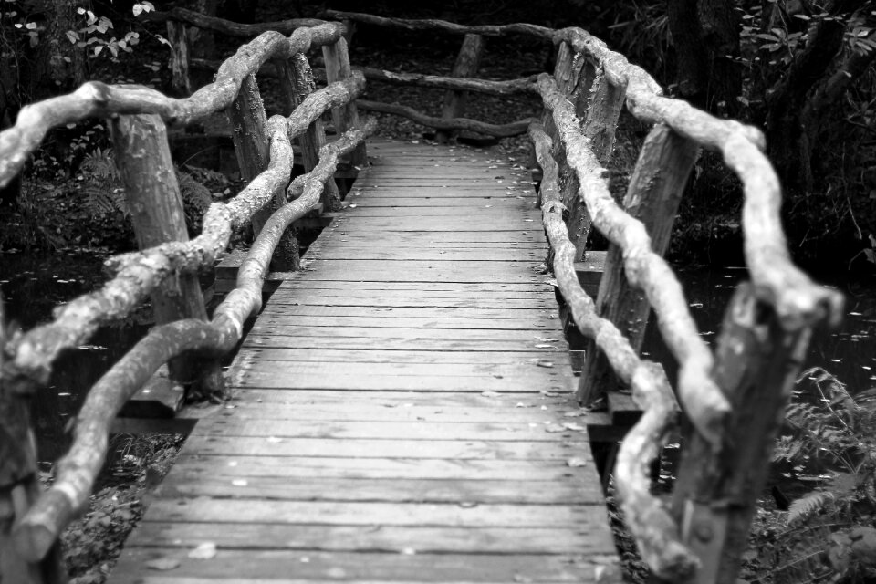 Path river gray path