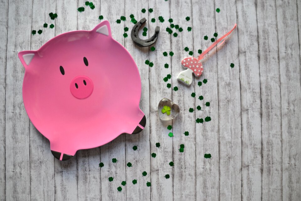 Lucky charm cute four leaf clover