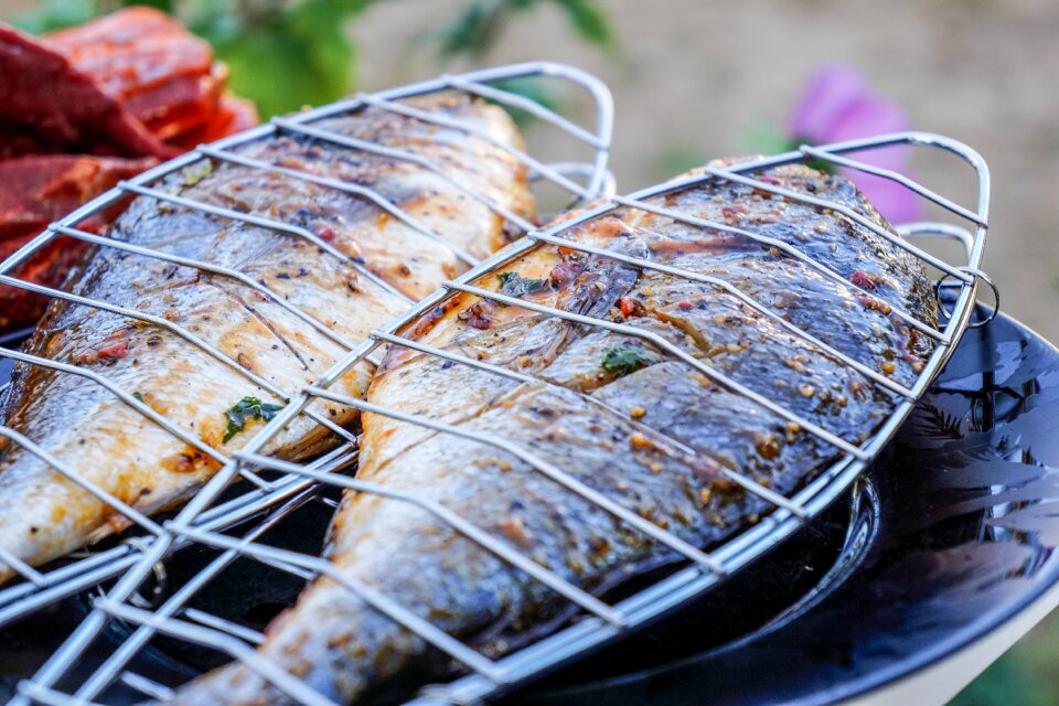 Barbecue grill food
