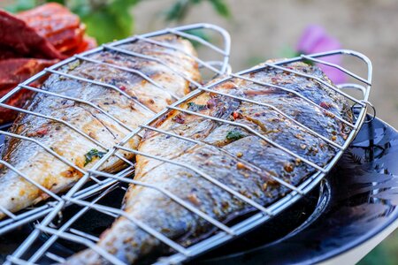 Barbecue grill food