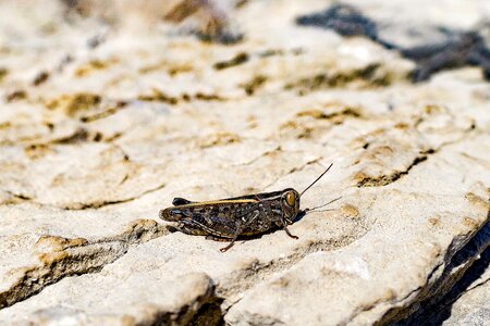 Sand stone water