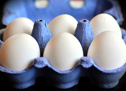 Hen's egg food egg box photo