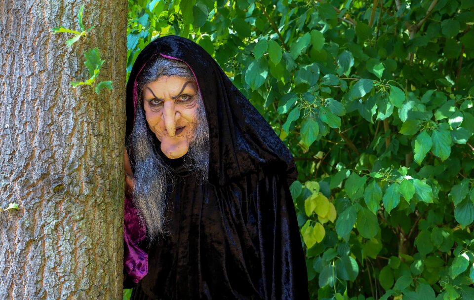 Fairy tale forest role-play