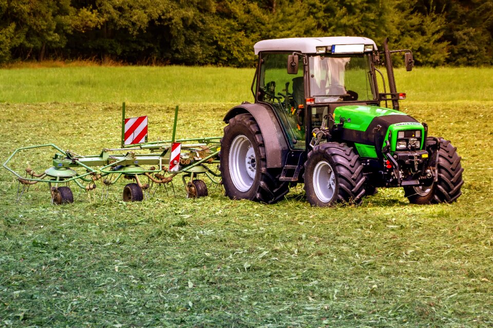 Pasture meadow agriculture