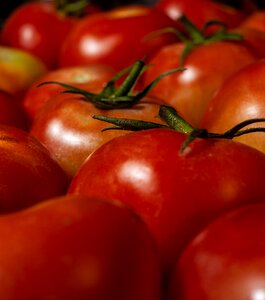 Food healthy harvest