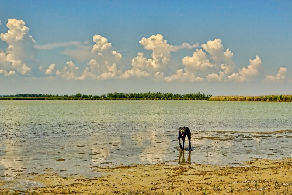 Panorama sky clouds