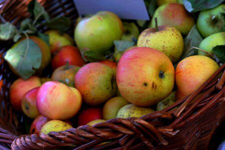 Fruit vitamins when