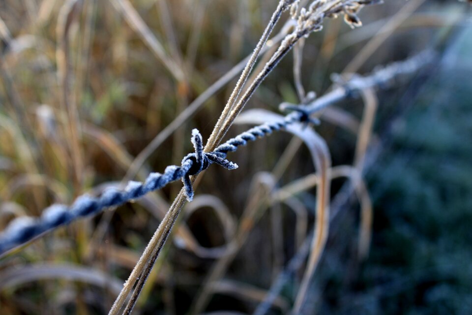 Hay frost morning