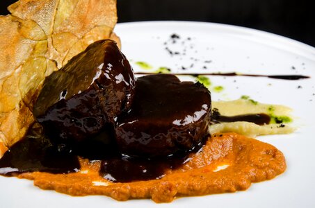 Gourmet food sauce medallion