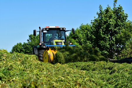 Rheiderland include a agriculture harvest photo