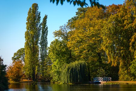 Bridge park lake