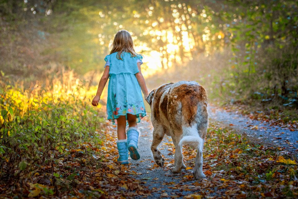 Autumn childhood play