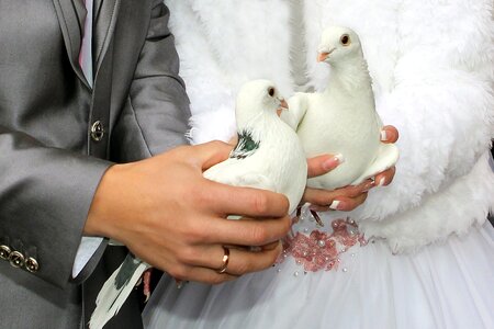 Bride pigeons ceremony photo